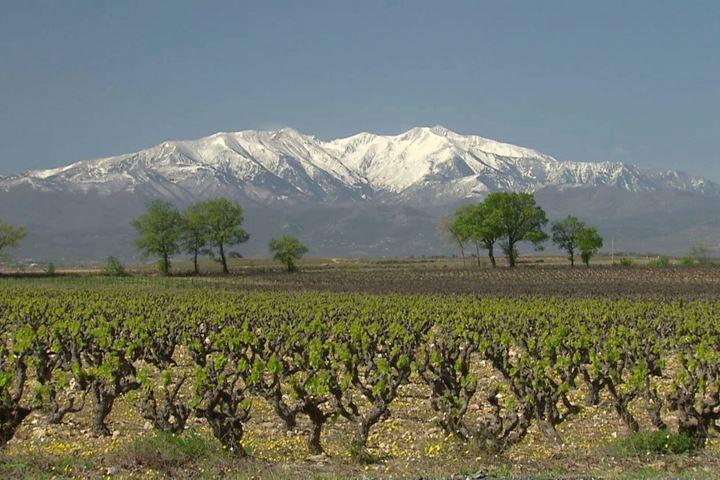 Pic du Canigou